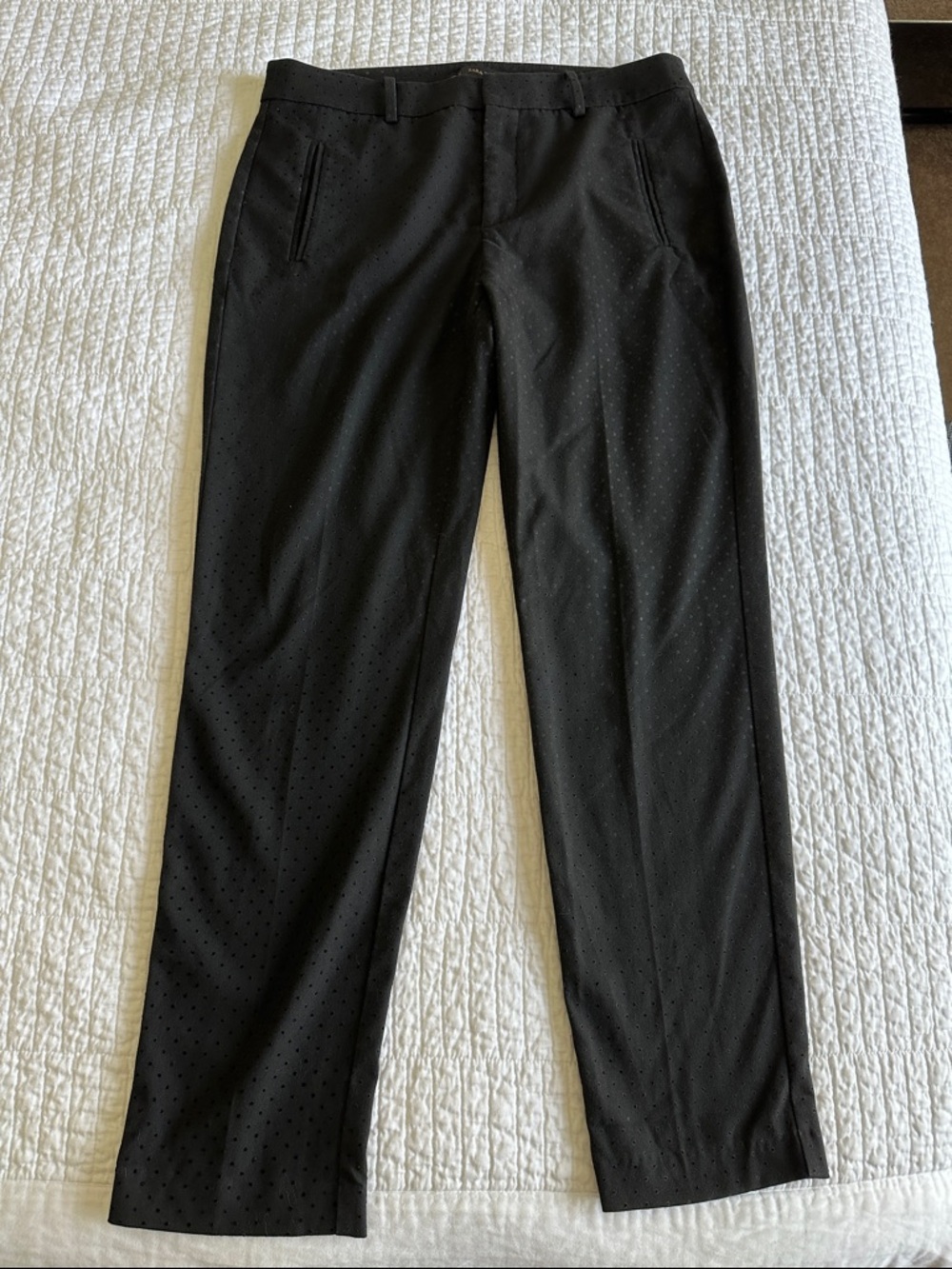 Zara Dress Pants